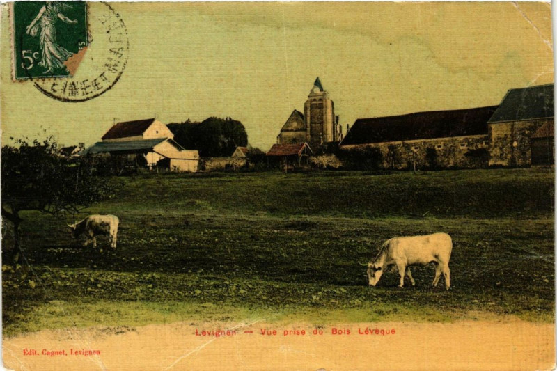 Carte postale ancienne Levignen Vue prise du Bois Leveque à Lévignen