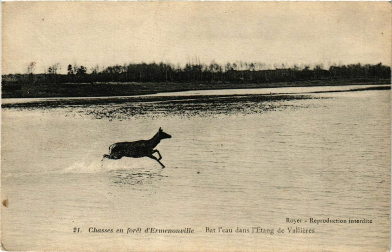 Carte postale ancienne Chasses en foret d'Ermenonville Bat l'eau dans l'etang Vallieres à Ermenonville