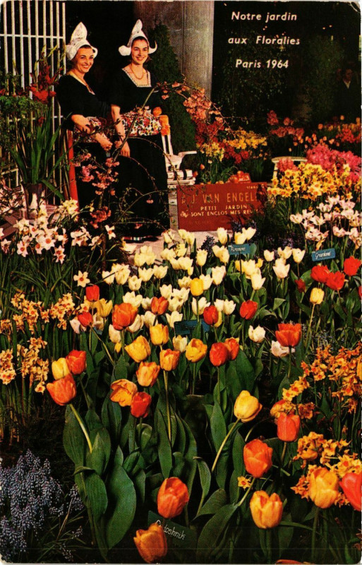 Carte postale ancienne Chantilly Notre Jardin aux Floralies Paris 1964 à Chantilly