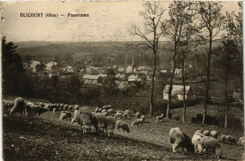 Carte postale ancienne Blicourt Panorama à Blicourt