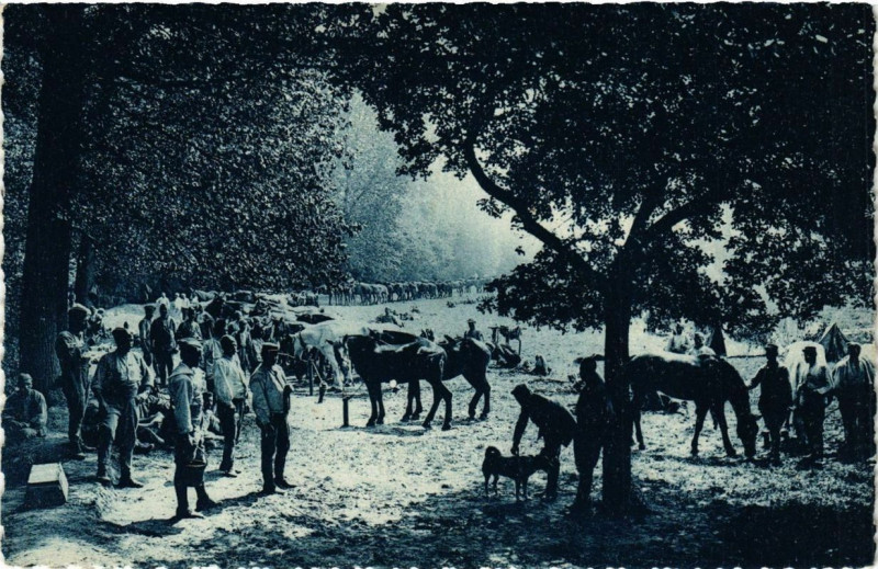 Carte postale ancienne Artillerie au bivouac. Oise 1915