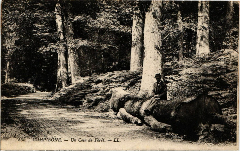 Carte postale ancienne Compiegne - Un Coin de Foret à Compiègne