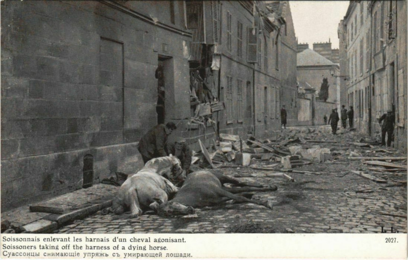 Carte postale ancienne Soissonnais enlevant les harnais d'un cheval agonisant