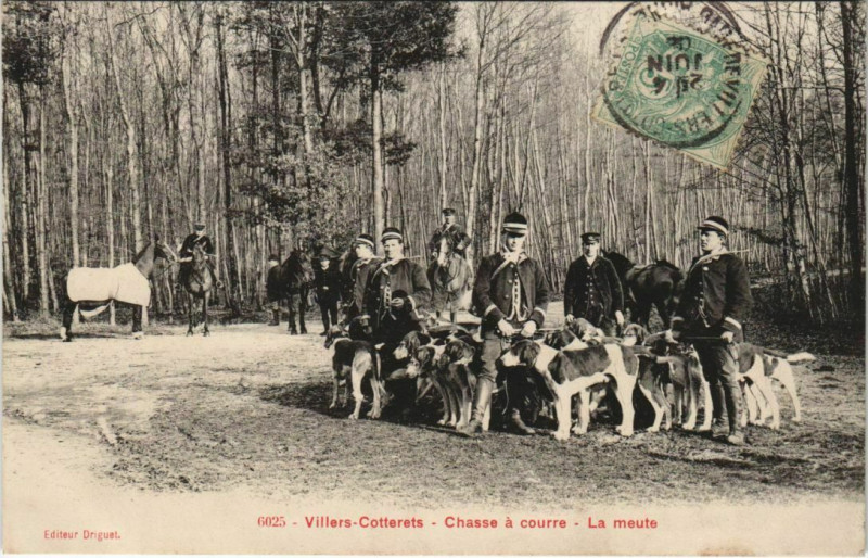 Carte postale ancienne Villers Cotterets Chasse a courre, La meute France