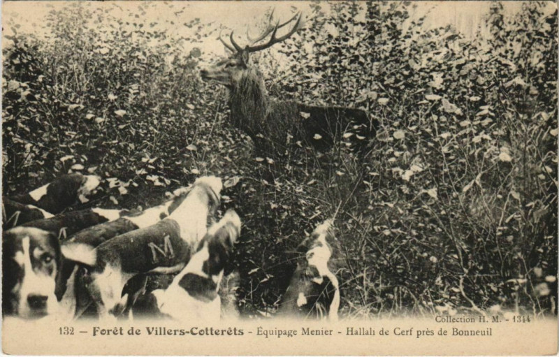 Carte postale ancienne Villers Cotterets Hallali de Cerf pres de Bonneuil France