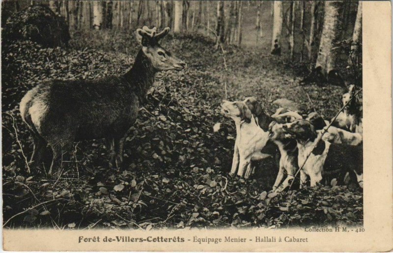 Carte postale ancienne Villers Cotterets Hallali a Cabaret France