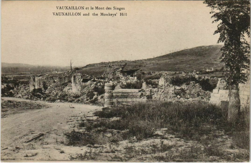 Carte postale ancienne Vauxaillon et le Mont des Singes - Ruines à Vauxaillon