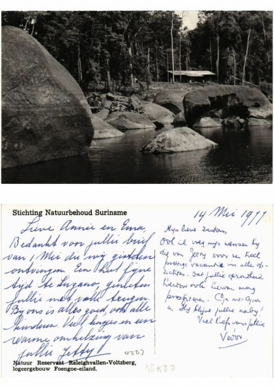 Carte postale ancienne Pc Suriname Natuur Reservaat Raleighvallen-Voltzberg - Foengoe