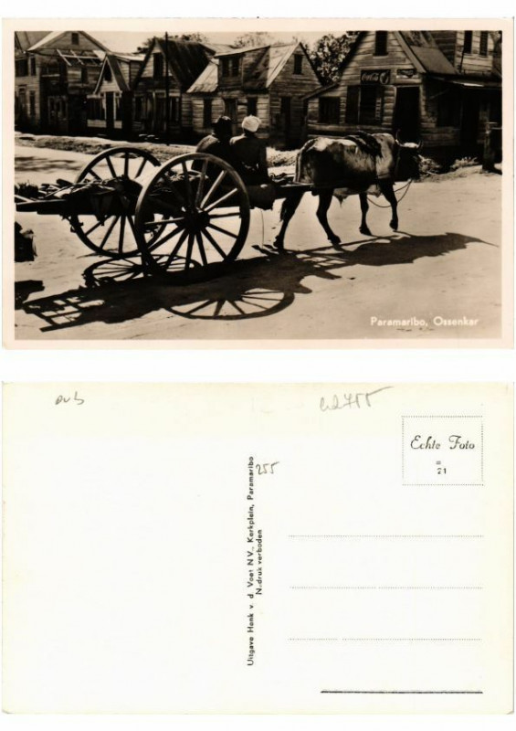 Carte postale ancienne Pc Suriname Paramaribo - Ossenkar