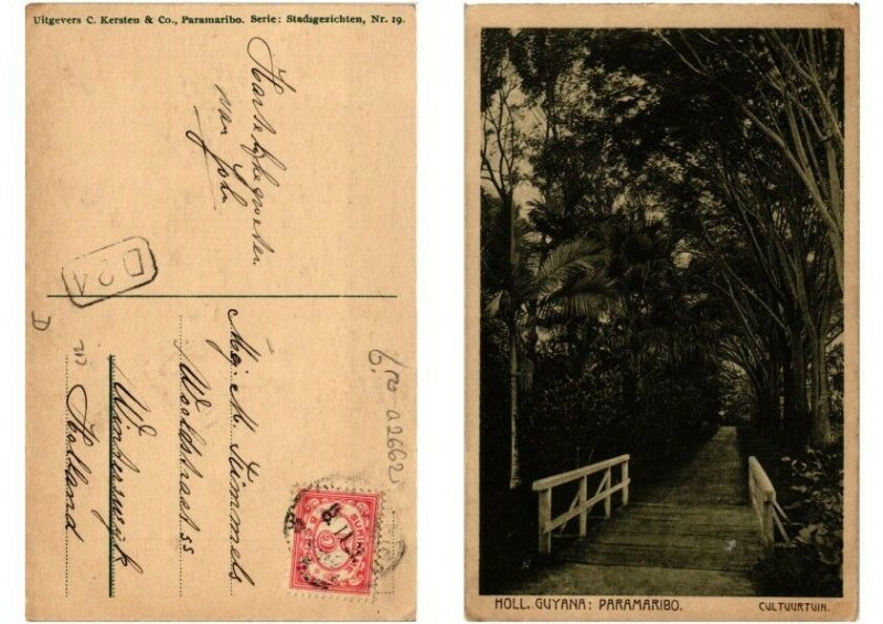 Carte postale ancienne Pc Suriname Paramaribo - Cultuurtuin