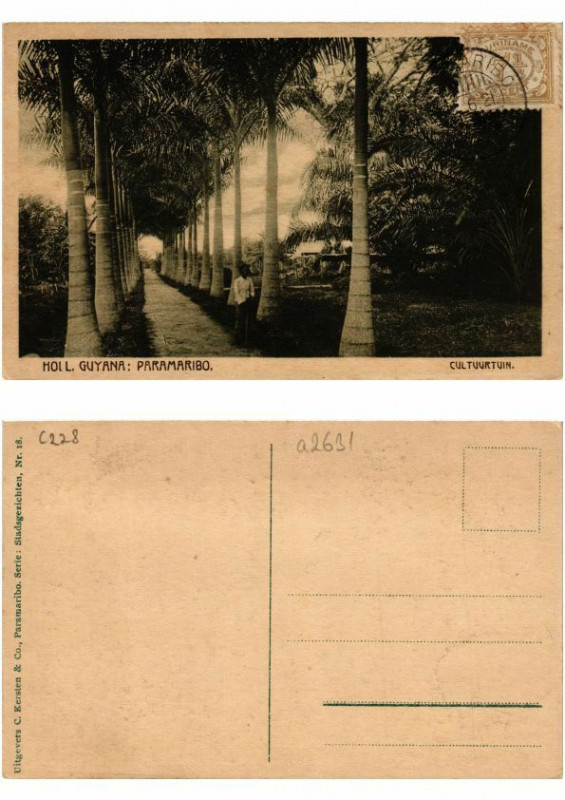 Carte postale ancienne Pc Suriname Paramaribo - Cultuurtuin