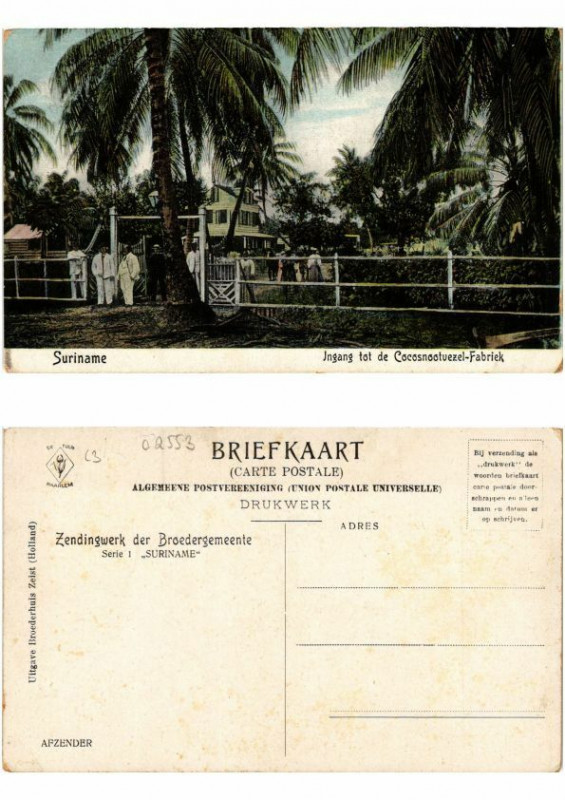 Carte postale ancienne Pc Suriname - Jngang tot de Cocosnootuezel-Fabriek à Brie