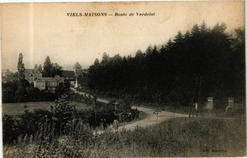 Carte postale ancienne Viels-Maisons Route de Verdelot à Viels-Maisons