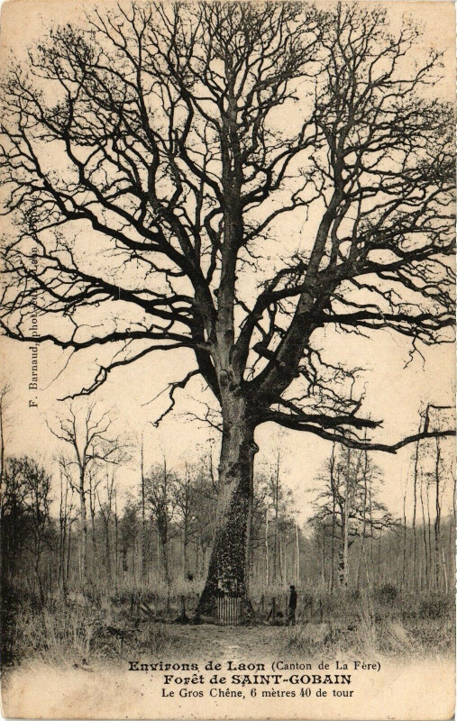 Carte postale ancienne Environs de Laon Foret de Saint-Gobain à Laon