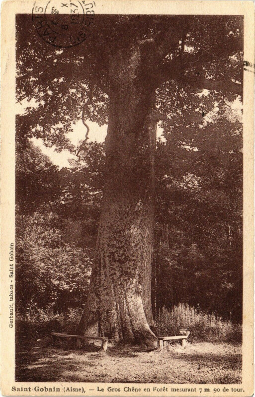 Carte postale ancienne Saint-Gobain Le gros chene à Saint-Gobain