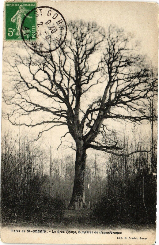 Carte postale ancienne Foret de Saint-Gobain Le gros chene à Saint-Gobain