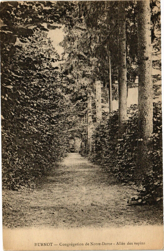 Carte postale ancienne Burnot Congregation de Notre-Dame Allee des sapins