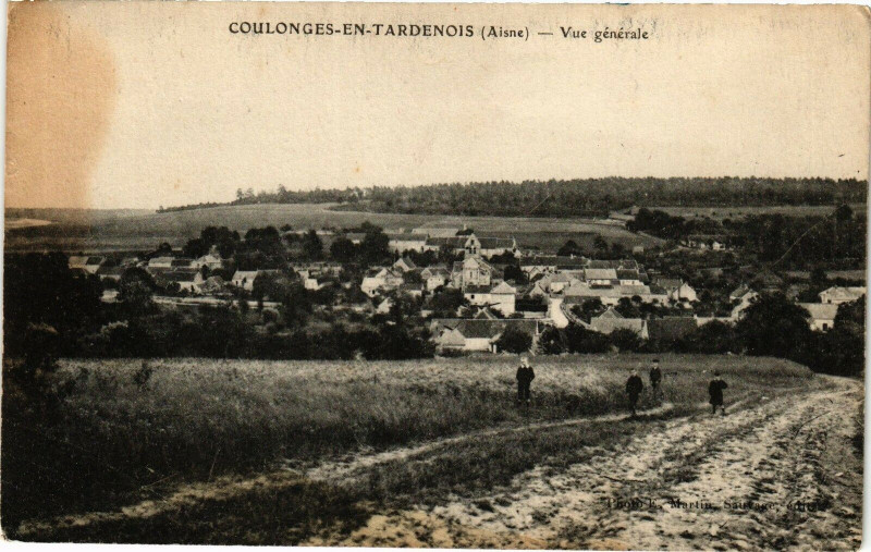 Carte postale ancienne Coulonges-En-Tardenois Vue generale