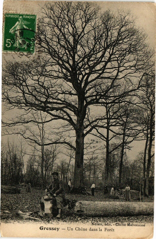 Carte postale ancienne Gressey - Un Chéne dans la Forét