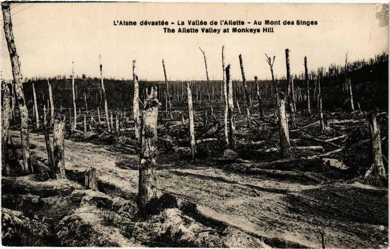 Carte postale ancienne L'Aisne devastee La Vallee de L'Allette Au Mont des Singes