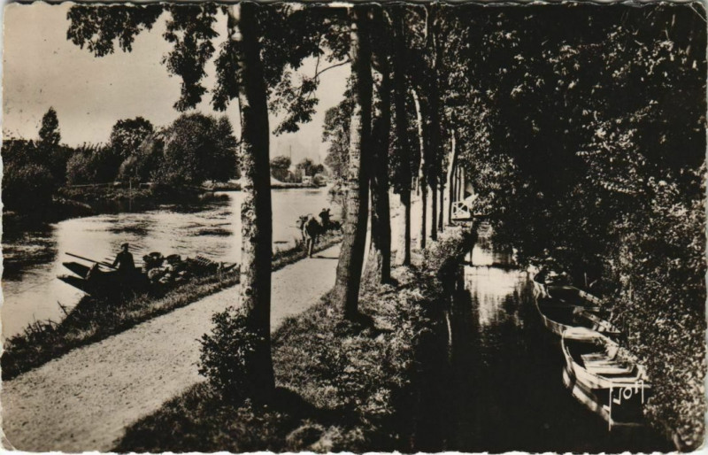 Carte postale ancienne Amiens Les Rives de la Somme à Amiens