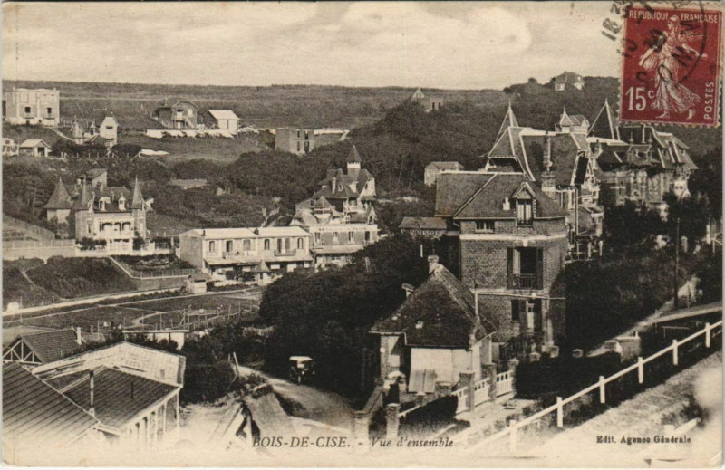Carte postale ancienne Bois-de-Cise vue d'ensemble