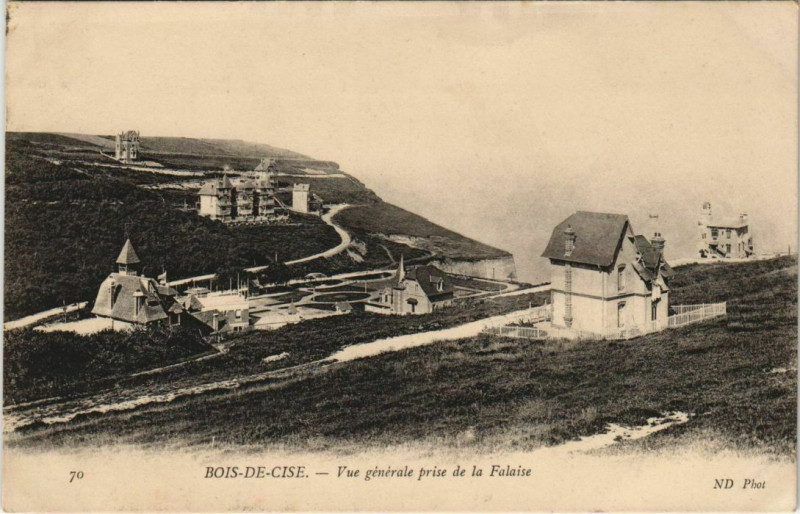 Carte postale ancienne Bois-de-Cise Vue générale prise de la Falaise