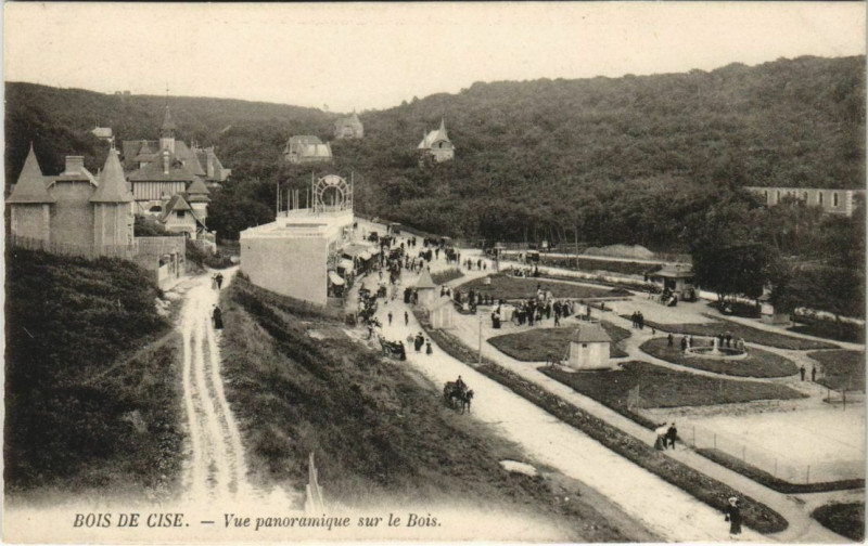 Carte postale ancienne Bois-de-Cise Vue panoramique sur le Bois