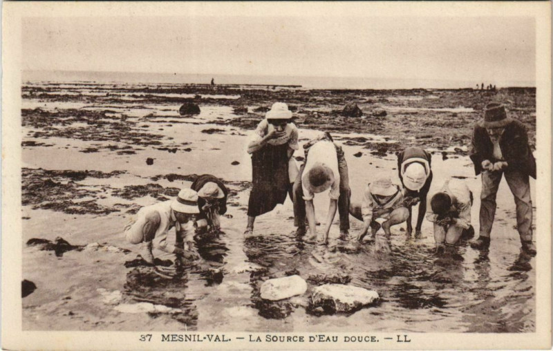 Carte postale ancienne Mesnil-Val la Source d'eau douce