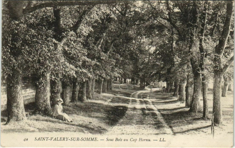Carte postale ancienne Saint-Valery-sur-Somme Sous bois au Cap Hornu à Saint-Valery-sur-Somme