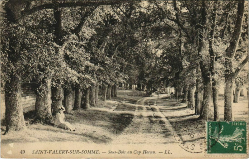 Carte postale ancienne Saint-Valery-sur-Somme Sous bois au Cap Hornu à Saint-Valery-sur-Somme