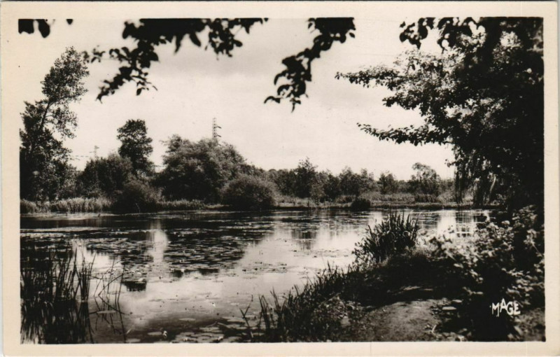 Carte postale ancienne Roye Vue sur les Etangs à Roye