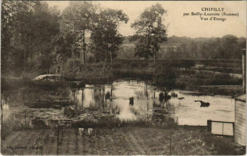 Carte postale ancienne Chipilly Vue d'Etangs à Chipilly