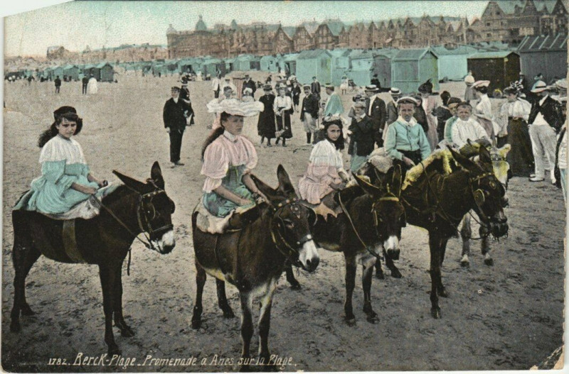 Carte postale ancienne Berck-Plage Promenade a anes à Berck