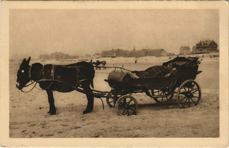 Carte postale ancienne Berck-Plage Voiture a Ane à Berck