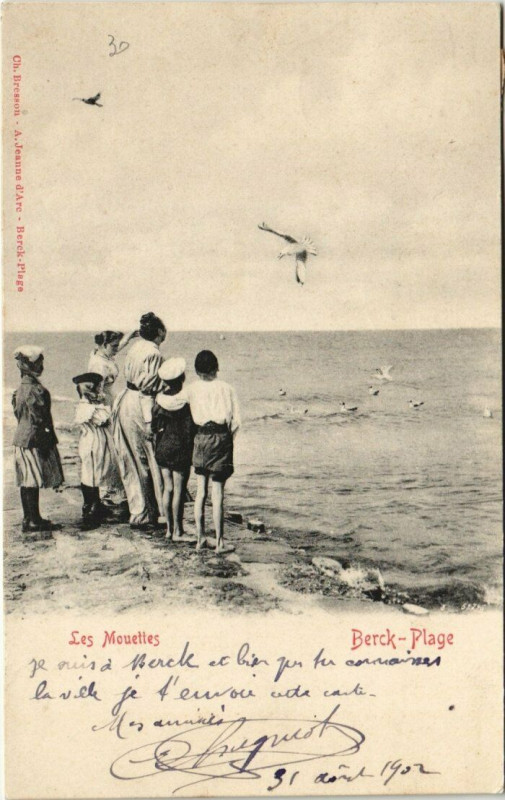 Carte postale ancienne Berck-Plage Les Mouettes à Berck