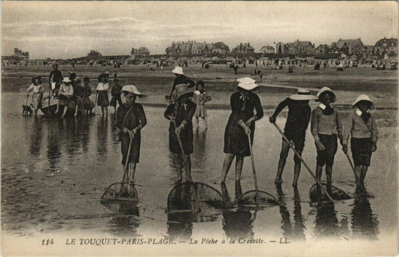 Carte postale ancienne Le Touquet-Paris-Plage - La Péche a la Crevette au Touquet-Paris-Plage
