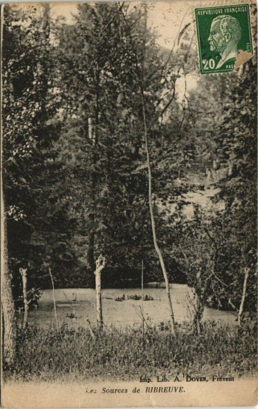 Carte postale ancienne Les Sources de Ribreuve
