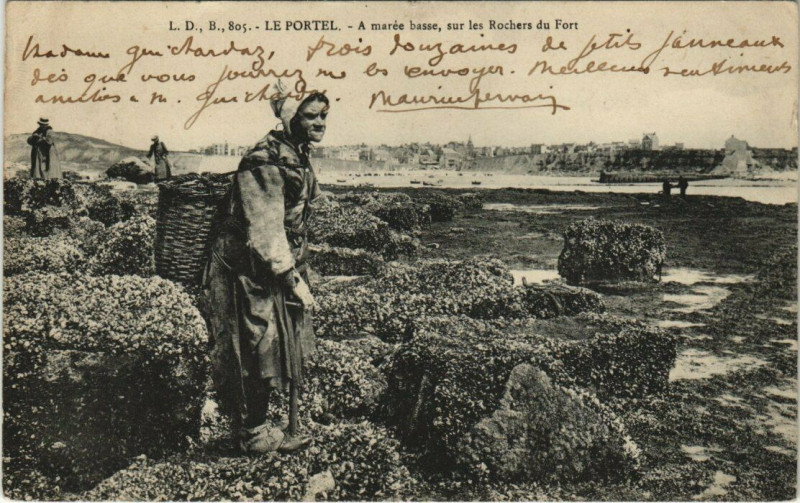 Carte postale ancienne Le Portel - A marée basse sur les Rochers du Fort au Portel