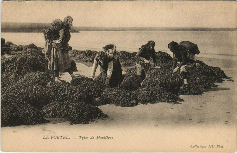 Carte postale ancienne Le Portel - Types de Moulieres au Portel