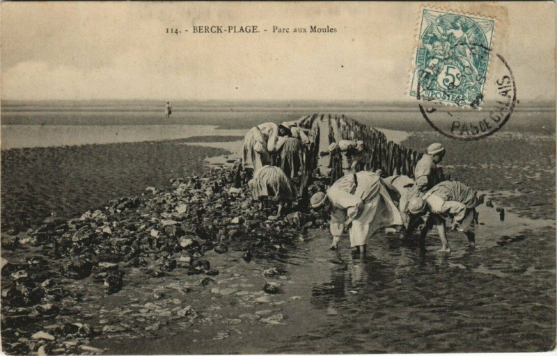 Carte postale ancienne Berck-Plage - Parc aux Muoles à Berck