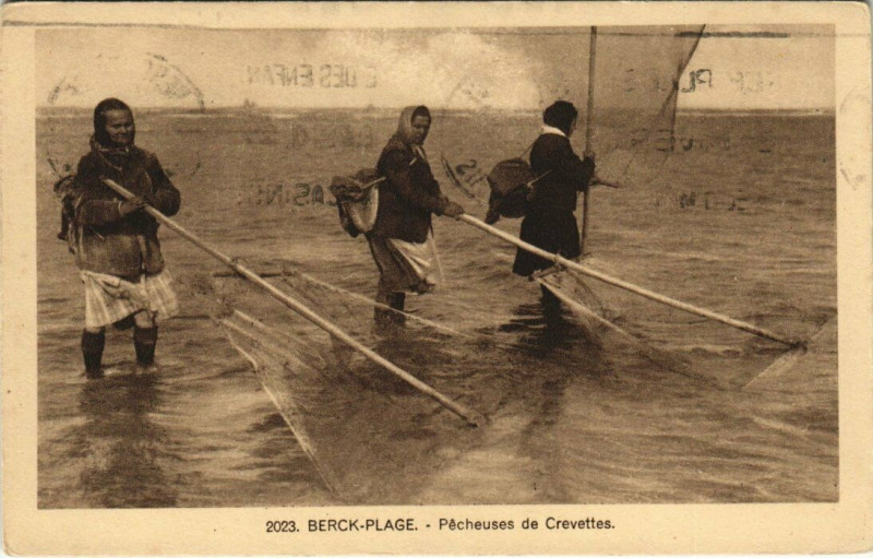 Carte postale ancienne Berck-Plage - Pecheuses de Crevettes à Berck