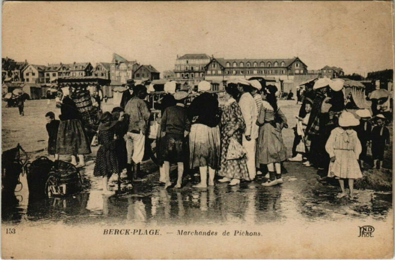 Carte postale ancienne Berck-Plage - Marchandes de Pichons à Berck