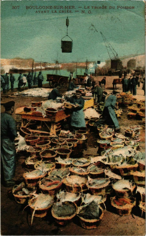 Carte postale ancienne Boulogne sur Mer- Le Triage du Poisson avant la Criee France à Boulogne-sur-Mer