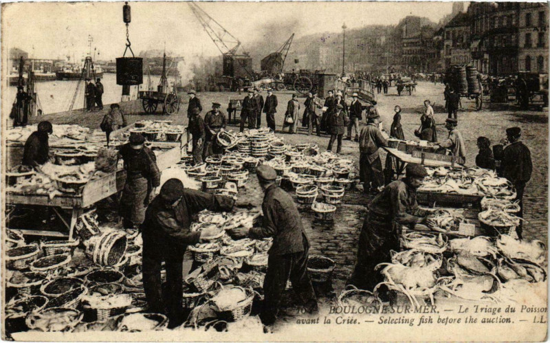 Carte postale ancienne Boulogne sur Mer- Le Triage du Poisson avant la Criee France à Boulogne-sur-Mer
