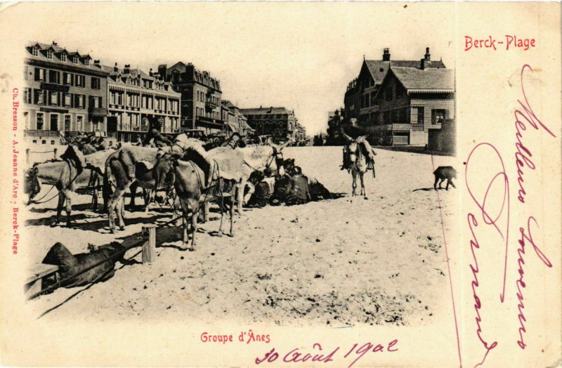 Carte postale ancienne Berck Plage- Groupe d'Anes France à Berck