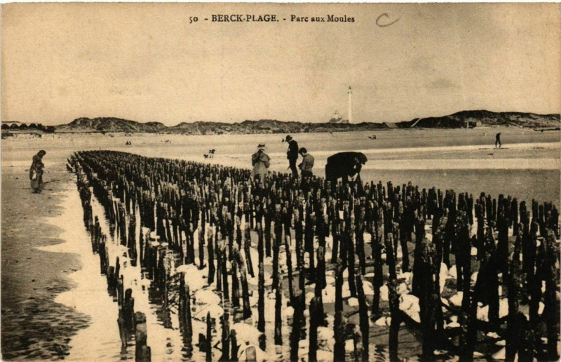 CPA Berck Plage le premier Bain de Mer - Détails du produit