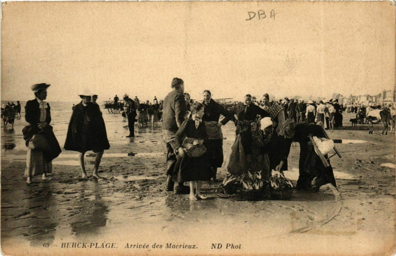 Carte postale ancienne Berck Plage- Arrivee des Macrieux France à Berck