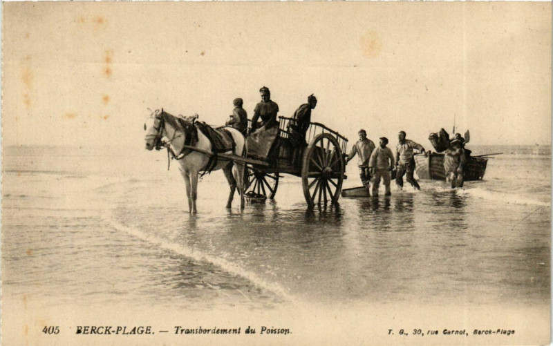 Carte postale ancienne Berck-Plage - Transbordesment du Poisson à Berck