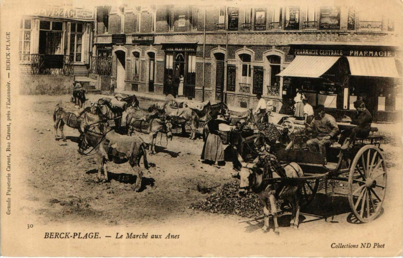 Carte postale ancienne Berck-Plage - Le Marché aux Anes à Berck
